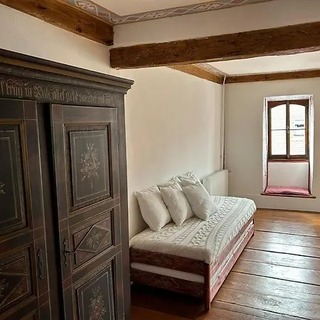 Cosy Old Town Penthouse! Colmar