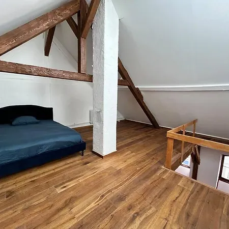 Apartment Cosy Old Town Penthouse! Colmar
