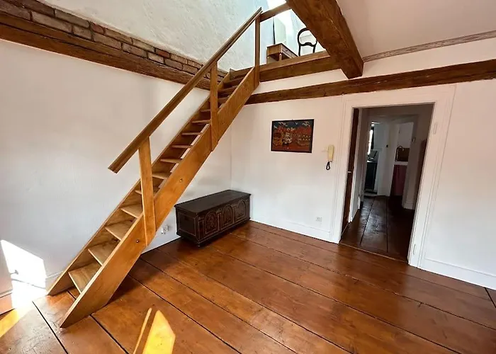 Cosy Old Town Penthouse! * Colmar